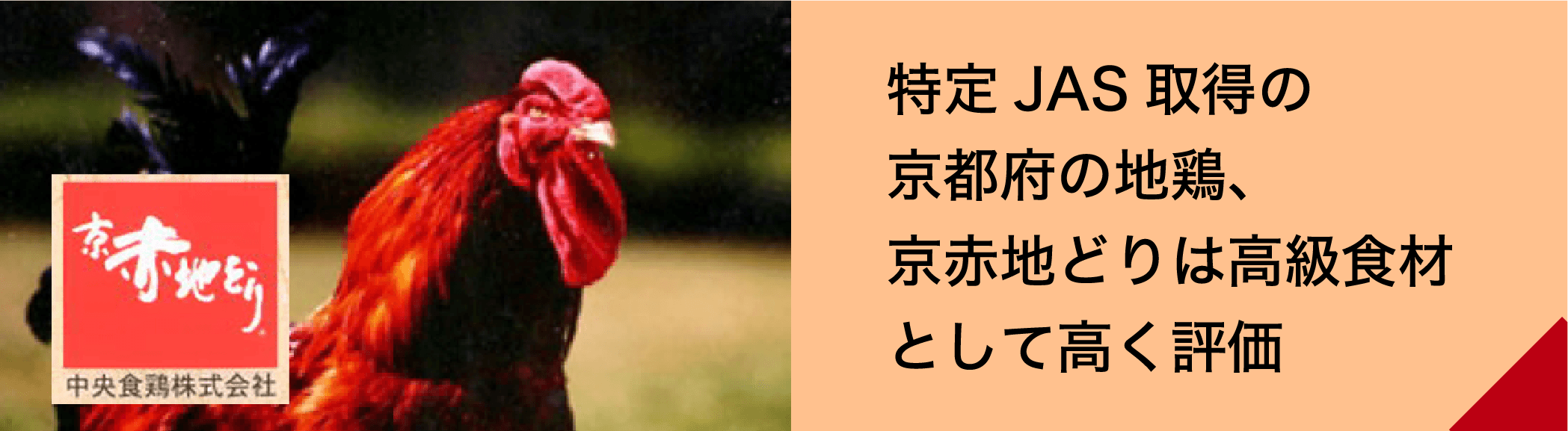 特定JAS取得の京都府の地鶏、京赤地どりは高級食材として高く評価