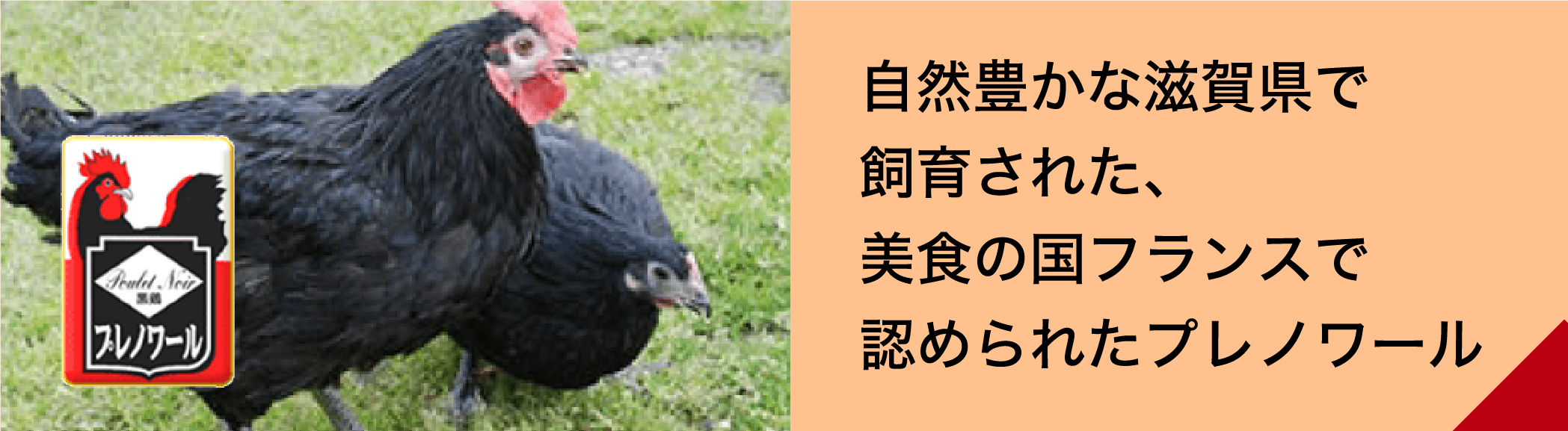 自然豊かな滋賀県で飼育された、美食の国フランスで認められたプレノワール