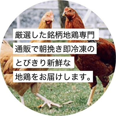 厳選した銘柄地鶏専門通販で朝挽き即冷凍のとびきり新鮮な地鶏をお届けします。